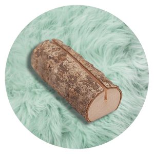 Boomstam voor kaart of foto