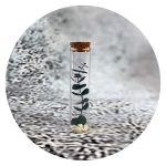 Stolpje met eucalyptus