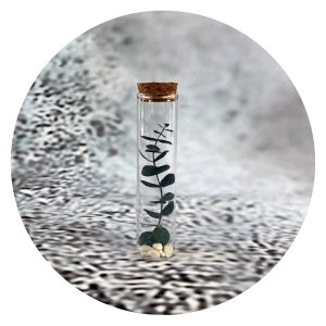 Stolpje met eucalyptus