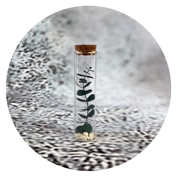 Stolpje met eucalyptus