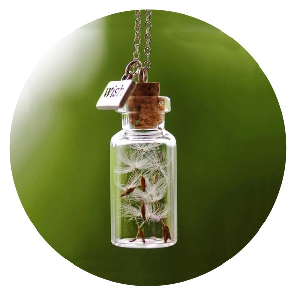 Ketting Flesje met paardenbloempluis