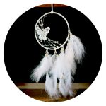 Dromenvanger Vlinder