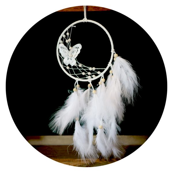 Dromenvanger Vlinder