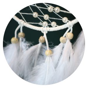 Dromenvanger Vlinder