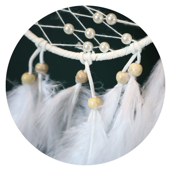 Dromenvanger Vlinder