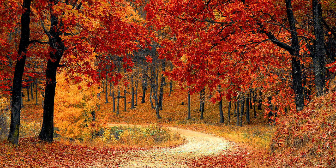 Blog-steun verandert alles