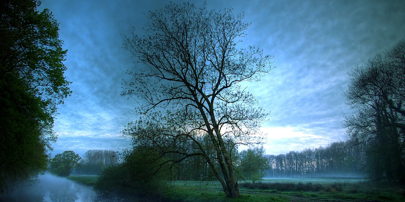 Blog: Troost brengen in december