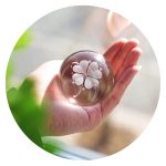 Klavertje vier in bol