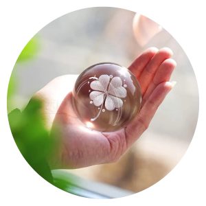 Klavertje vier in bol