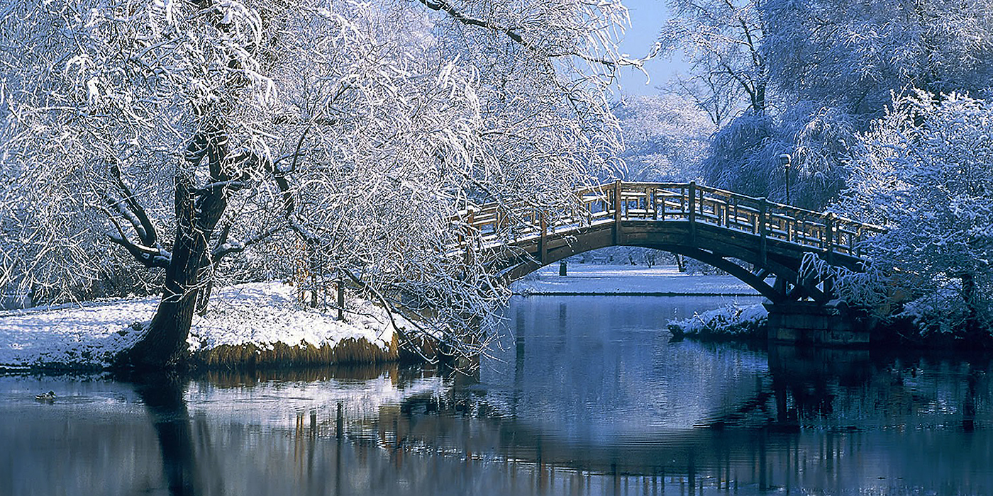 Klein gebaar grote troost