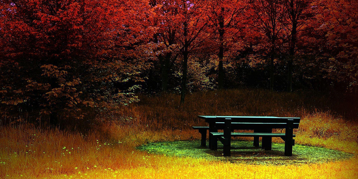 Blog - selfies bij het graf