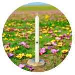 Dinerkaars met hartje