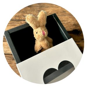 Knuffel in doosje - wit