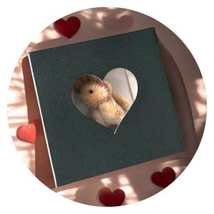 Knuffel in doosje - zwart