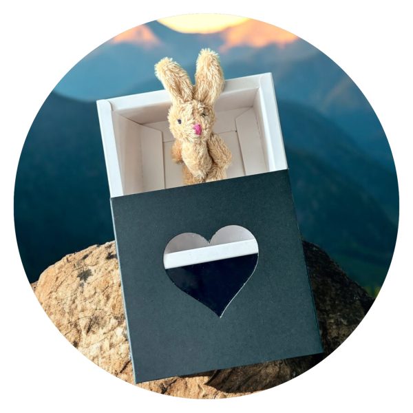 Knuffel in doosje - zwart