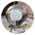 Paardenbloem met pluis in bol