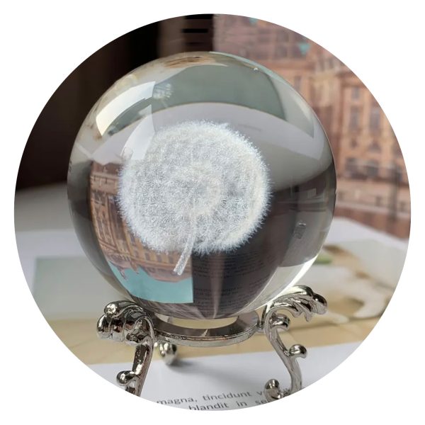 Paardenbloem met pluis in bol