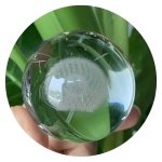 Paardenbloem met pluis in bol