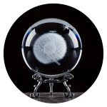 Paardenbloem met pluis in bol