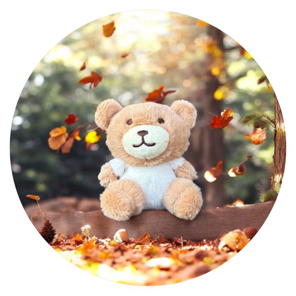 Klein knuffel beertje - bruin