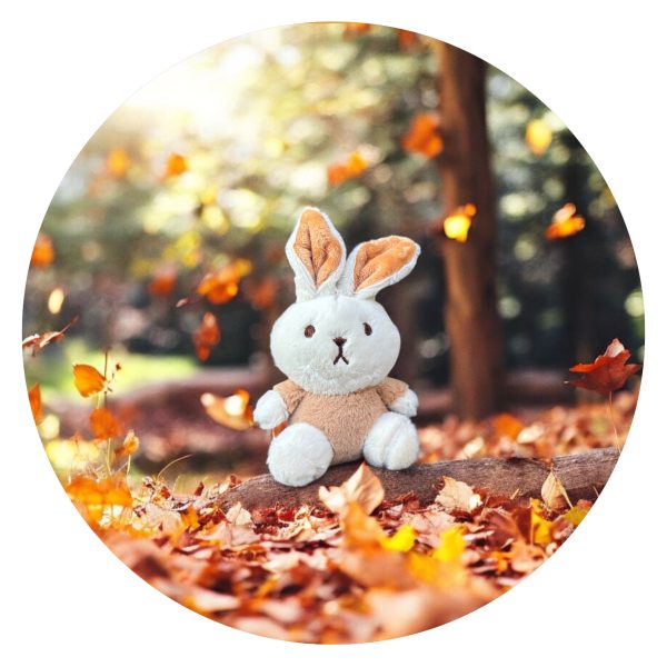 Klein knuffel konijntje - wit