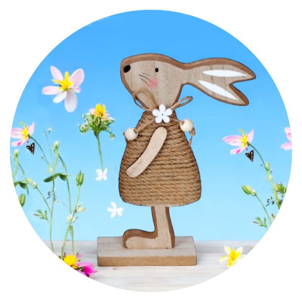 Lief Haasje met jurk