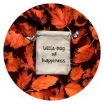 Little bag of happiness - friendship