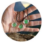 Veterketting met ronde hanger met echt klavertje vier