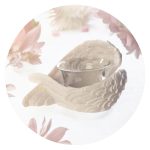 Engelenvleugels lichtje