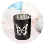 Lichtje Zwart zilveren vlinder