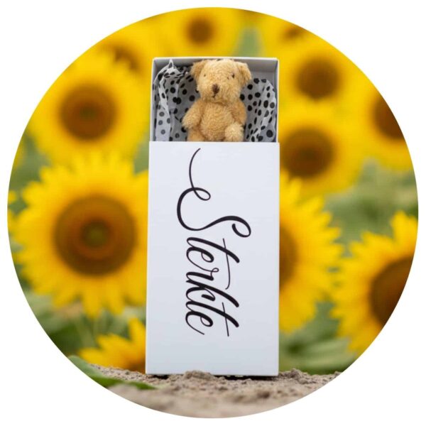 Beertje in een doosje met de tekst 'Sterkte' tegen een achtergrond van zonnebloemen.