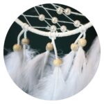 Dromenvanger Vlinder