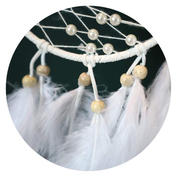 Dromenvanger Vlinder