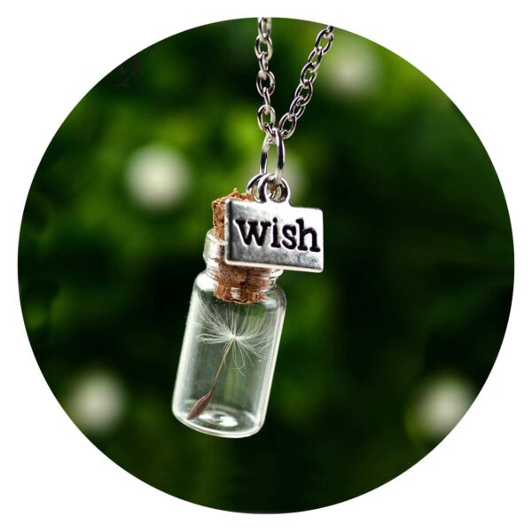 Ketting Flesje met paardenbloempluis