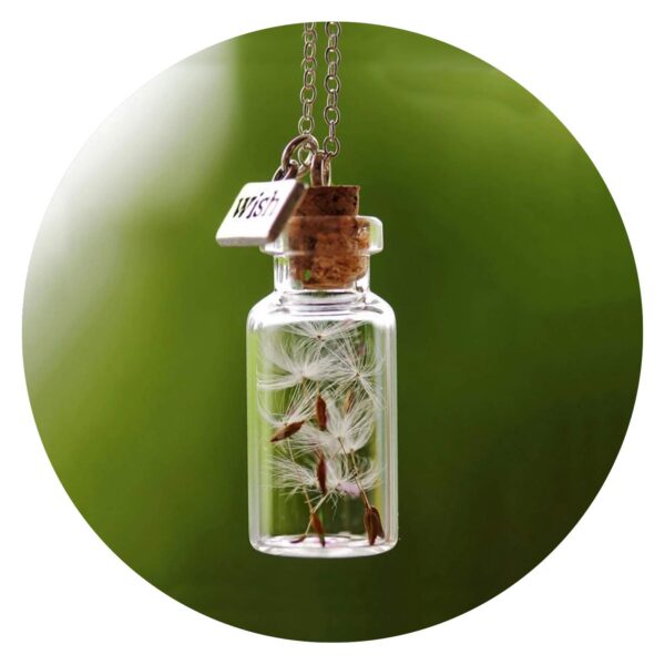 Ketting Flesje met paardenbloempluis