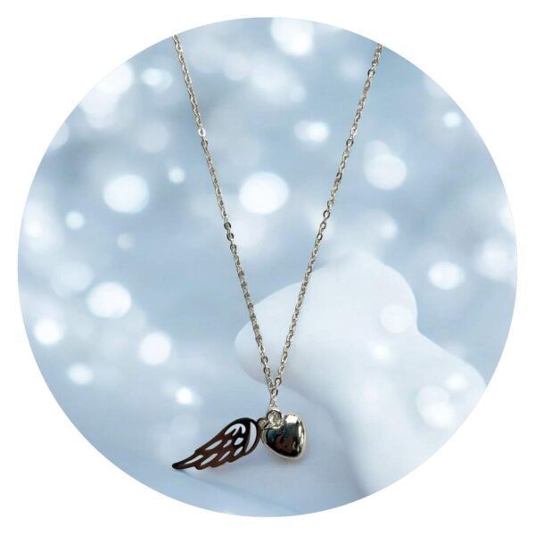 Ketting hartje met vleugeltje