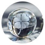 Klavertje vier in bol