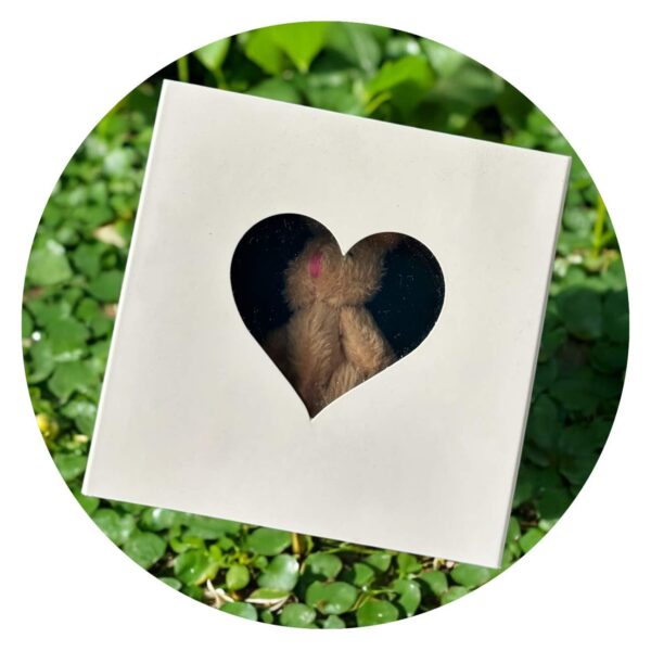 Knuffel in doosje - wit