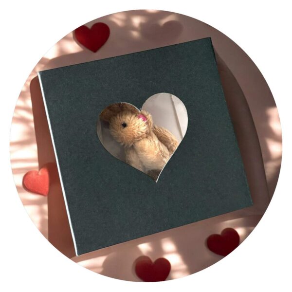 Knuffel in doosje - zwart