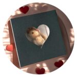 Knuffel in doosje - zwart