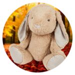 Konijn Knuffel XXL