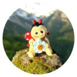 Lieveheersbeestje met gezichtje