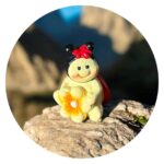 Lieveheersbeestje met gele bloem