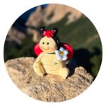 Lieveheersbeestje met madelief