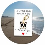 Pocket Hug Boston Terrier