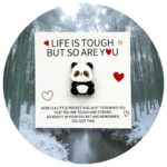 Pocket Hug panda bikkel Nederlandse tekst