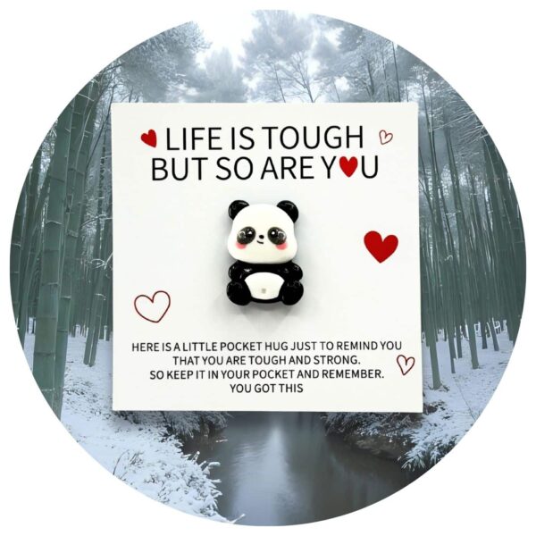 Pocket Hug panda bikkel Nederlandse tekst