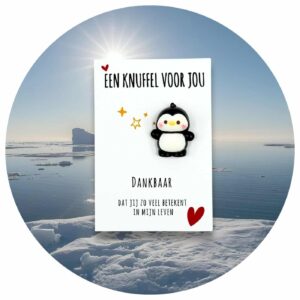 Pocket Hug knuffelpinguïn Nederlandse tekst