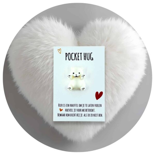 Pocket Hug knuffelbeer Nederlandse tekst