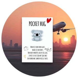 Pocket Hug koala